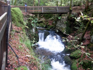 LES ETANGS DU GIRMONT-vosges