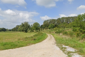 JUVAINCOURT - LA FORêT ENCHANTéE-vosges