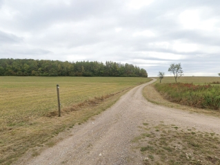 DOMPAIRE – CIRCUIT COURT DE DOMPAIRE-vosges