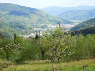 LA BEUILLES AU VILLERAIN-vosges