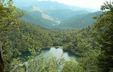 LAC DES PERCHES-vosges