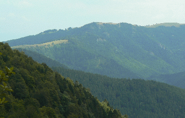 LAC DES PERCHES-vosges