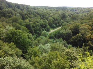 CIRCOURT-SUR-MOUZON - VALLEE DU MOUZON-vosges