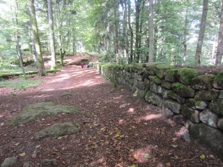 DENIPAIRE - CAMP CELTIQUE DE LA BURE-vosges