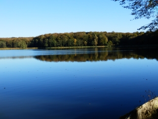 CIRCUIT DES GRANDES MANCHES-vosges