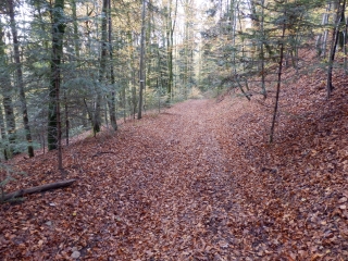 LES FEUILLEES-vosges