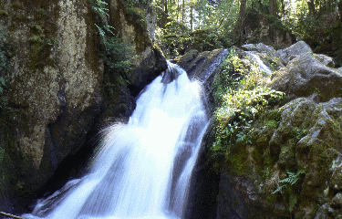 CASCADES DE TENDON-vosges
