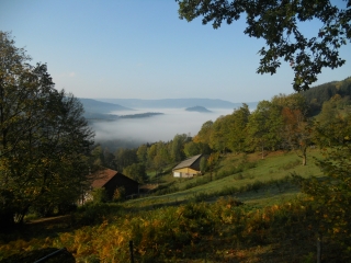 LE HAUT DU TOT - COL DE SAPOIS-vosges