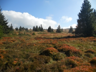 GAZON DU FAING - CASCADE DU RUDLIN-vosges