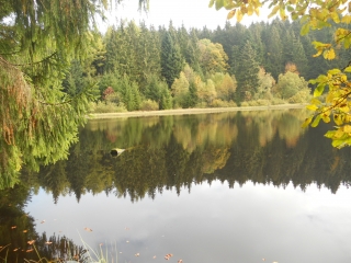 LA BASSE DES FEIGNES-PIERRE DES 4 COMMUNES-vosges
