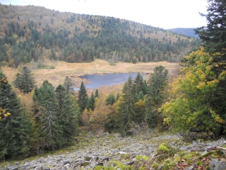 TOURBIERES DE MACHAIS-vosges