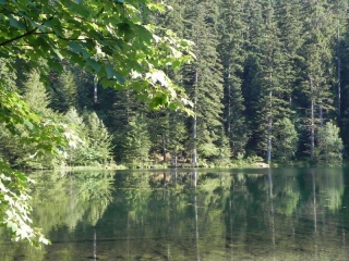 CIRCUIT DU LAC DE LA MAIX-vosges