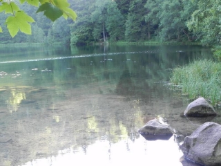 CIRCUIT DU LAC DE LA MAIX-vosges