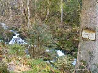 CIRCUIT DES ROUGES TERRES-vosges