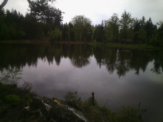 MARCHE A RAMONCHAMP-vosges