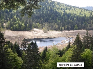 LA BRESSE - SUR LES SENTIERS VERS LE LAC DE BLANCHEMER-vosges