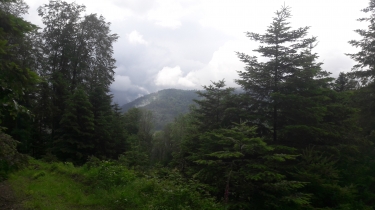 RUPT-SUR-MOSELLE-vosges