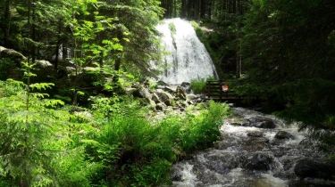 LE HAUT DU TOT AU DEPART DE VAGNEY-vosges