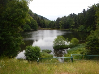 LACS ALSACIENS DEPUIS ROUGE-GAZON-vosges