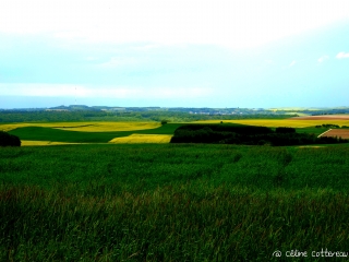 SENTIER DES MONTS FAUCILLES-vosges