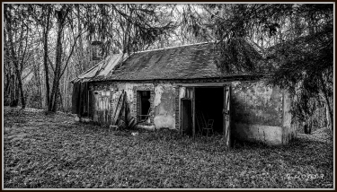 FLACY - BOIS DE CHEVRY-yonne