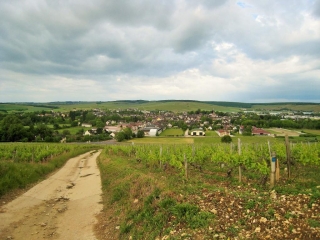 CHABLIS-yonne
