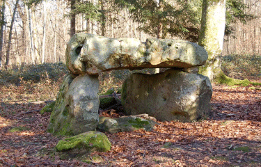 FORET DE VAULUISANT-yonne