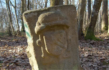 FORET DE VAULUISANT-yonne