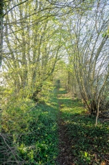 9EME POYAUDINE-yonne