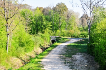 RANDO DES ETANGS -yonne