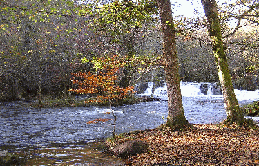 GR13 - PARTIE 2-yonne