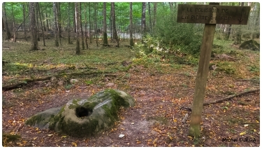 COURGENAY LES POLISSOIRS-yonne