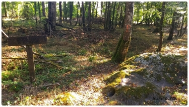 COURGENAY LES POLISSOIRS-yonne