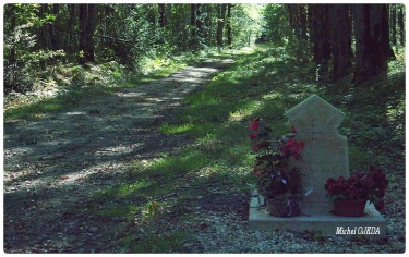 BOUCLE DIXMONT - CHAPITRE DIXMONT  (PETIT PARCOURS DE 7 à 8KM)-yonne