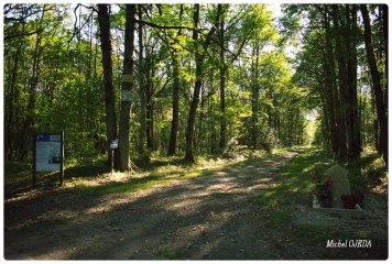 BOUCLE DIXMONT - CHAPITRE DIXMONT  (PETIT PARCOURS DE 7 à 8KM)-yonne