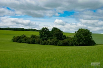 VAUDEURS ET LES HAMEAUX - UNE RANDO DE 12KM-yonne