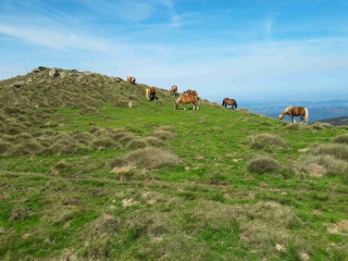 COL DE PORT - ROC DE BATAIL - ROC MOUCHE-ariege