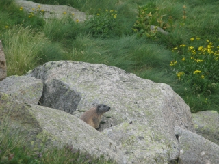 ORLU - REFUGE D ENBEY - ETANG DE NAGUILLE AVEC UNE NUIT AU REFUGE-ariege