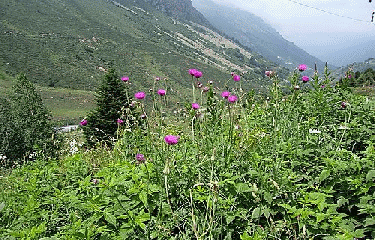 GR107 - ARIEGE - ANDORRE-ariege