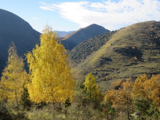 BARRY D EN HAUT - CHAPELLE DE LUJAT-ariege