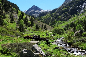 SOURCES CHAUDES DE MERENS LES VALS - SAUT DU NABRE-ariege
