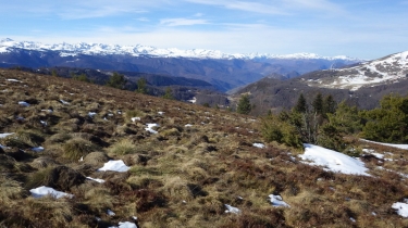 DEPUIS PRADES - SUR LE PLATEAU DE SAULT - RANDONNEE EN BOUCLE-ariege