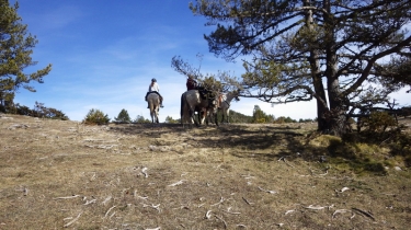 PAYS DE SAULT- PRADES - COL DE MARMARE - LA GARDIE - PRADES-ariege