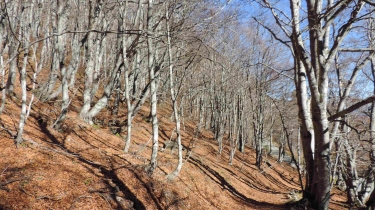 DE MIJANES AU COL DE PAILLERES-ariege