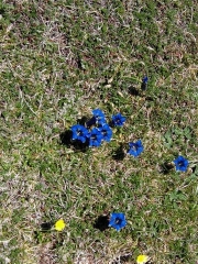 BOUCLE MONTAGNE DE LA FRAU-ariege