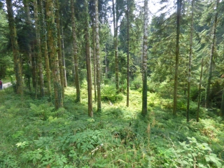 TOUR DU CAP DE LA SERRE-ariege