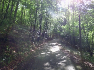 BIGOT - CROIX DE MORENCI-ariege