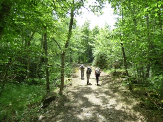 DECOUVERTES DE CHEMINS D ENTRESSERRE ET LE SARRAT DE L ETANG-ariege