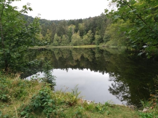 RANDONNEE AU BALLON D ALSACE-territoire-de-belfort