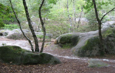 Grands Avaux-essonne